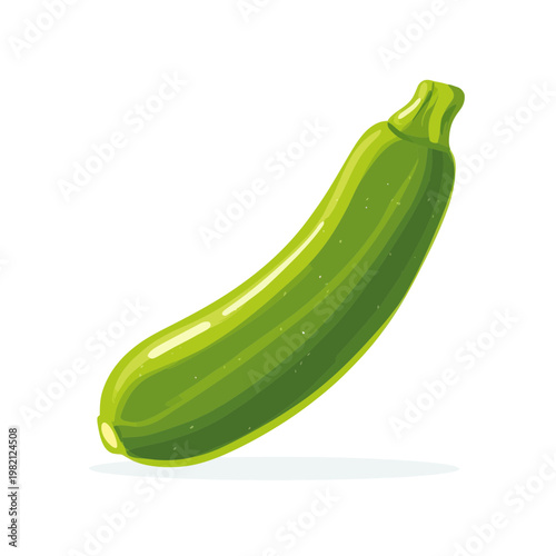 Bright Green Zucchini Vegetable Isolated