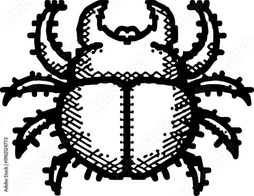 vintage scarab beetle illustration with detailed line art and ancient symbolism design