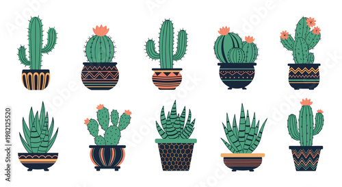 Beautiful collection of ten various cacti and succulents planted in stylish ceramic pots with intricate geometric patterns.
