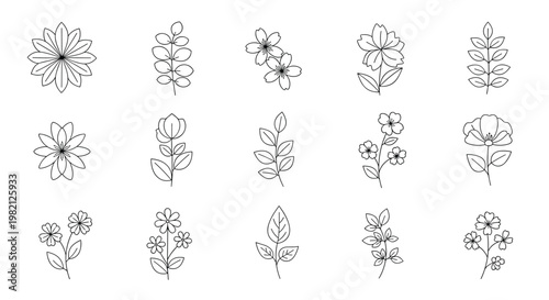 Minimalist collection of fifteen delicate line art floral sketches including various flowers leaves and botanical branches.