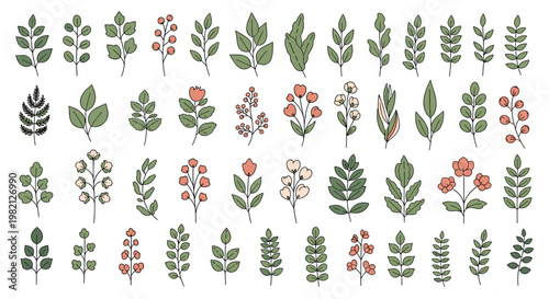 Large set of delicate leaf and floral branch illustrations featuring various plant species in soft natural colors and line art.