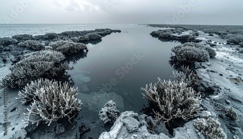 Tranquil coastal scene with coral-like formations and calm water