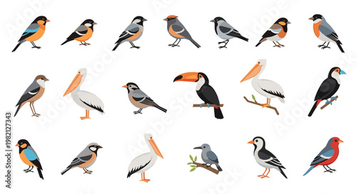 Diverse collection of twenty-one different bird species illustrations in various poses and colors on a white background.