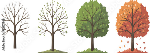 Cartoon tree collection with seasonal trees for winter, spring, summer and autumn, colorful nature vector set