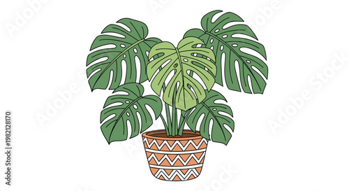 Lush monstera deliciosa plant with many large fenestrated leaves growing in a decorative terracotta pot with a geometric pattern.