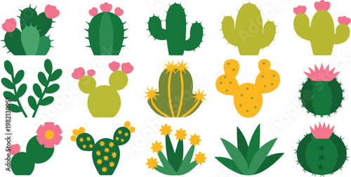 Bright cactus and aloe plant set with exotic leaves and flowering succulents, decorative natural elements isolated on white