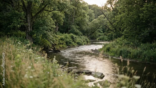 Serene Forest River Flowing Through Lush Greenery.