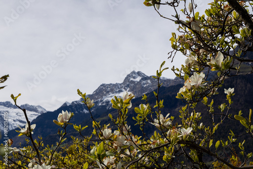 Südtirol, Alto Adiga, South Tyrol