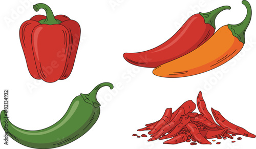 Set of fresh bell pepper chili peppers and dried red chilies in hand drawn vector line art style for spicy food design