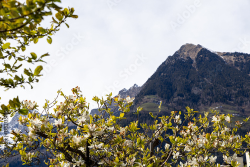Südtirol, Alto Adiga, South Tyrol