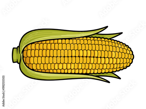 Fresh Sweet Corn Cob with Green Husk Illustration Isolated on White Background