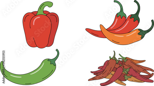Set of fresh bell pepper chili peppers and dried red chilies in hand drawn vector line art style for spicy food design