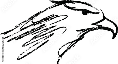 sketch of an eagle head in flight with detailed beak and eye illustration