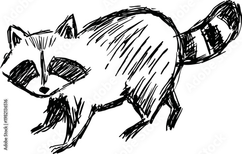 Hand drawn raccoon sketch with distinctive facial mask and striped tail in black ink