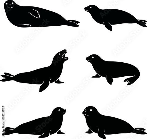 Set of seal and sea lion silhouettes