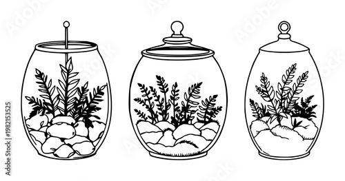 Terrarium set with hand-drawn line art of a small glass enclosure filled with moss and ferns featuring hand-drawn, moss, ferns with terrarium and glass