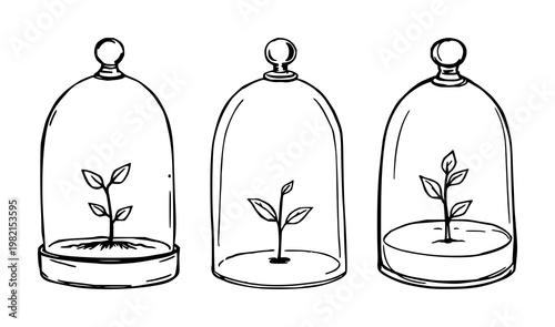 Glass cloche set with sketchy hand-drawn line art depicting a tiny sprout under a transparent dome featuring botanical, nursery, plant, illustration, plant with minimalist and botanical