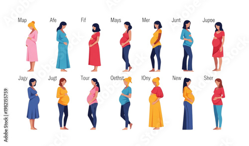 Pregnant women stages set months maternity progression modern flat vector illustration