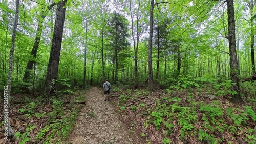 Man Hikes on Hazel Mountain Trail in Shenandoah National Park