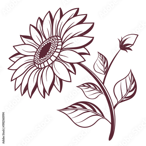 A drawing of a sunflower with leaves and a bud