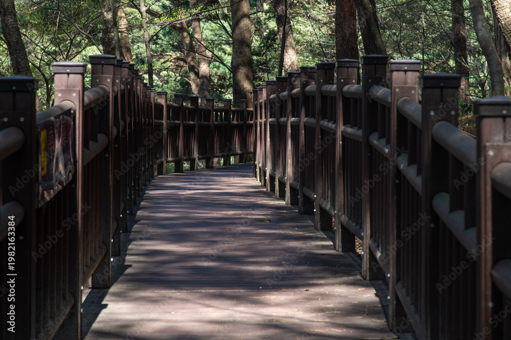 Obraz premium Scenic Wooden Boardwalk Footpath Through a Sunny Forest Nature Park