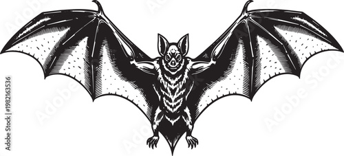 Striking monochrome illustration of a nocturnal bat with elegantly spread wings, capturing its mysterious and captivating presence often associated with darkness and ancient folklore