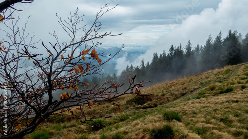 landscape climbing mount todum in piedmont, italy