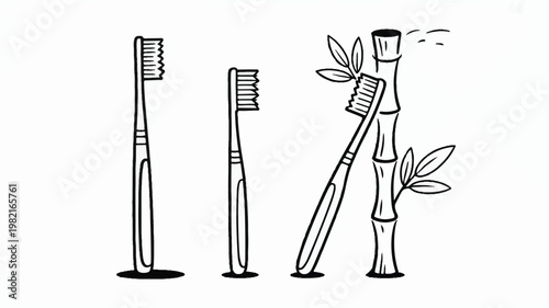 An illustration depicts four toothbrushes standing with one leaning on bamboo