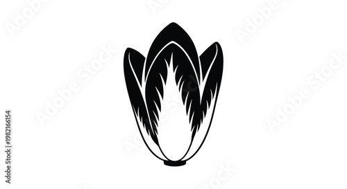 Minimalist black and white illustration of a radicchio leaf