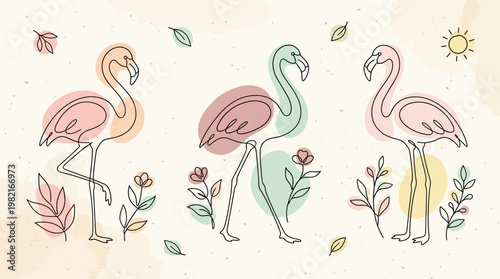 Colorful Flamingos Standing Together Outdoors.