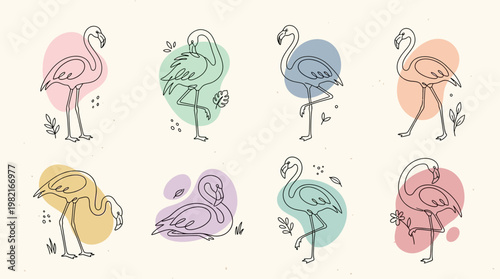 Colorful Flamingos in Various Poses.