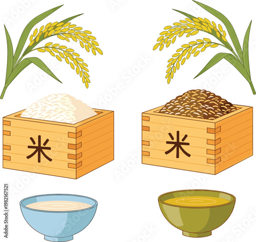 Rice Food Set with Paddy Plant Uncooked Grain and Cooked Rice Bowl Illustration Collection for Agriculture and Asian Cuisine Design