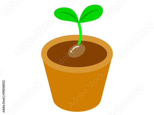 	鉢植えと植物のイラスト素材