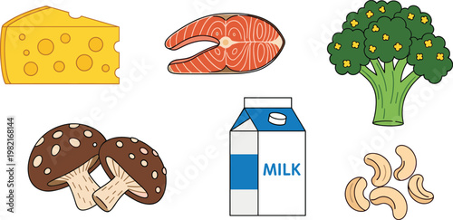 Healthy Food Ingredients Set with Cheese Salmon Broccoli Milk Mushroom and Nuts Nutrition Illustration Collection for Balanced Diet Design