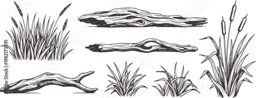 Hand drawn reeds and driftwood in dark grey style cattails branches