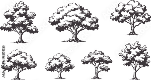 Six hand drawn dark grey trees with textured foliage and trunks white nature