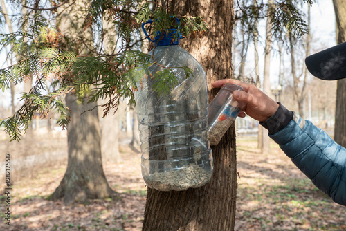 Hand filling homemade bird feeder made from plastic bottle with sunflower seeds attached to tree in park. Bird feeding, wildlife care, recycling concept, outdoor nature