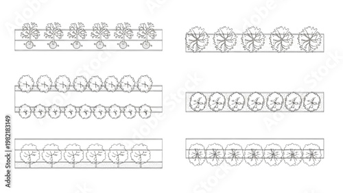 Top View CAD Tree Rows for Landscape Plan, Avenue Planting Layout and Street Tree Alignment Set