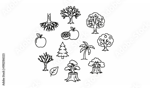 Modern trees thin line icon set with roots branches leaves fruit evergreen and tropical symbols