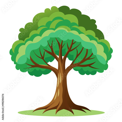 Tree with green leaves in a cartoon style with bright lighting on a white background for nature illustration