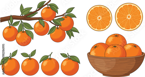 Fresh Onion Vegetable Set with Whole Half and Sliced Pieces Detailed Food Illustration Collection for Cooking Ingredient and Healthy Diet Design