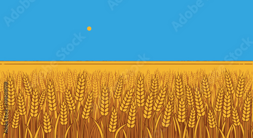 Golden Ripe Wheat Field Under Clear Blue Sky with Sun