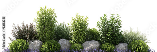 Various plants and rocks on transparent background for landscaping.