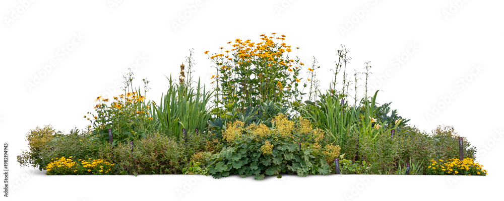 Εκτύπωση καμβά Large flowerbed with blooming different yellow colored flowers and plants, isola