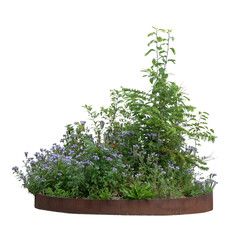 Composition of different plants and flowers in a trendy outdoor urban planter