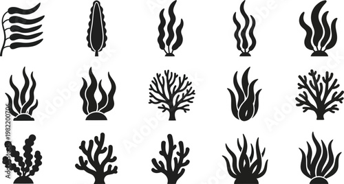 Diverse illustrations of aquatic plants and algae in various forms Vector