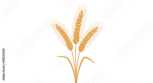 Detailed golden illustration of three stalks of wheat standing together in a fan-like arrangement on a white background.