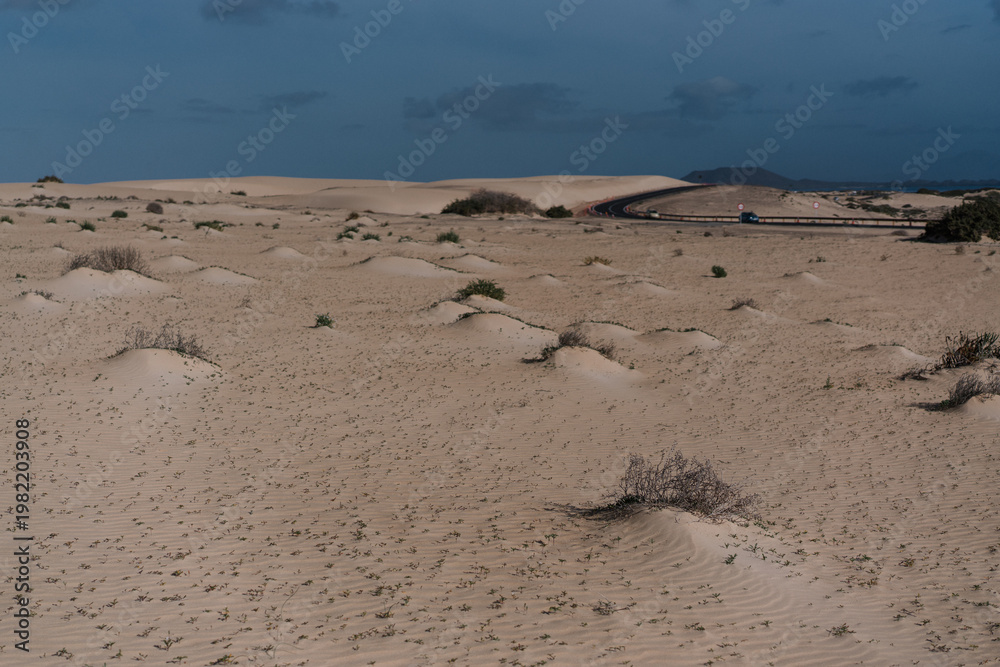 Obraz premium Vast sandy landscape with low dunes under a muted sky.