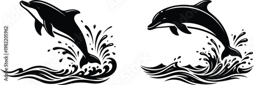 Two black dolphins jumping out of waves with splashes of water  marine life
