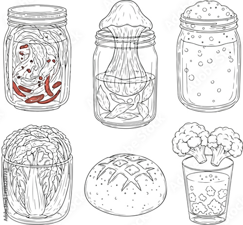 Fermented Foods and Probiotic Drinks Hand Drawn Line Art Illustration. 